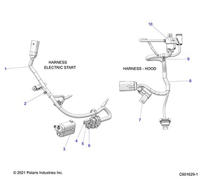 Victory Motorcycles Circuit Breaker, 20 Amp, Genuine OEM Part 4011372, Qty 1